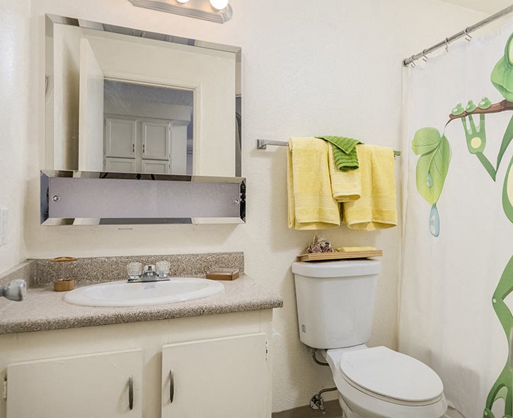 Forest Ridge Apartments 2 bedroom, 1 bath - 939 SF